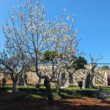 Casale Argentieri Ostuni * Mesagne